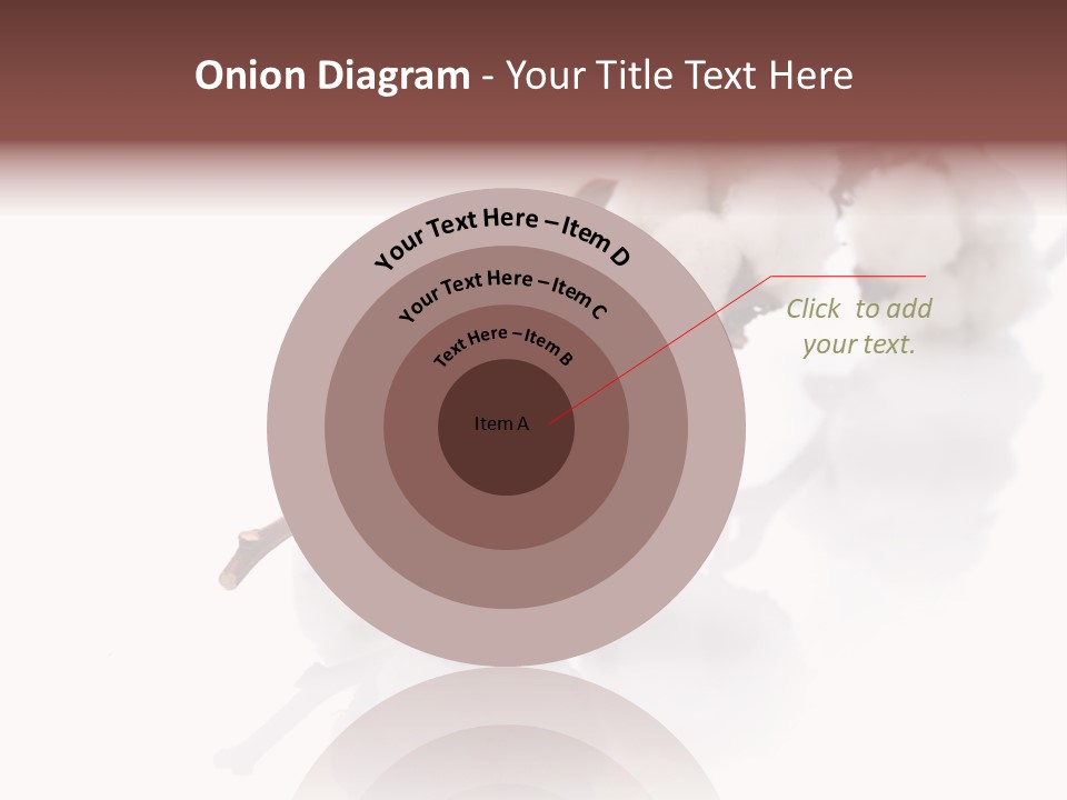 A Cotton Plant With A White Background PowerPoint Template