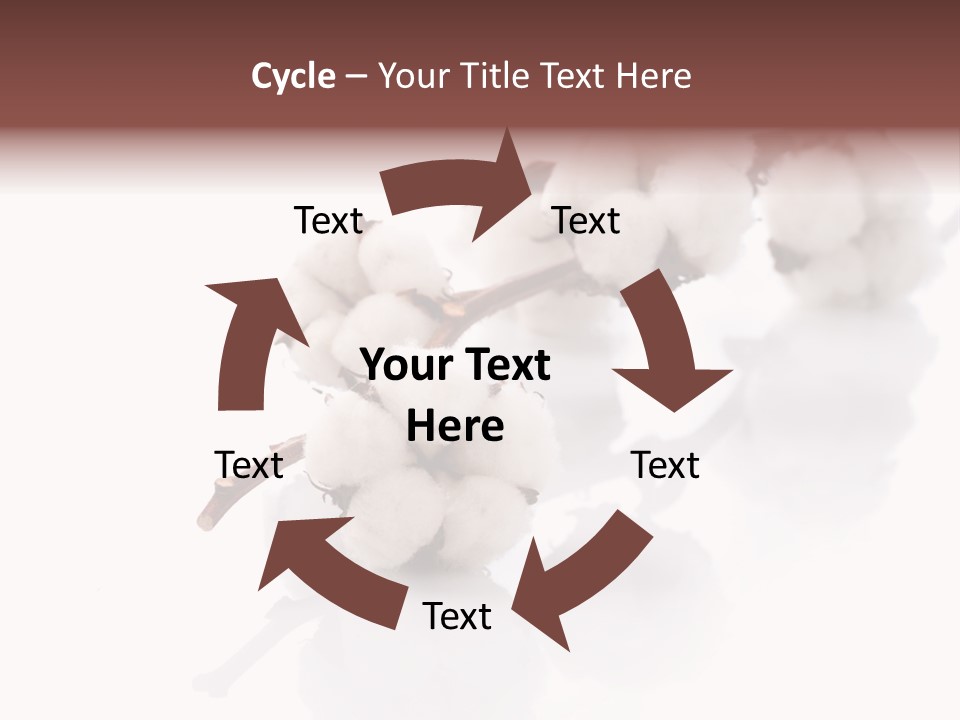 A Cotton Plant With A White Background PowerPoint Template