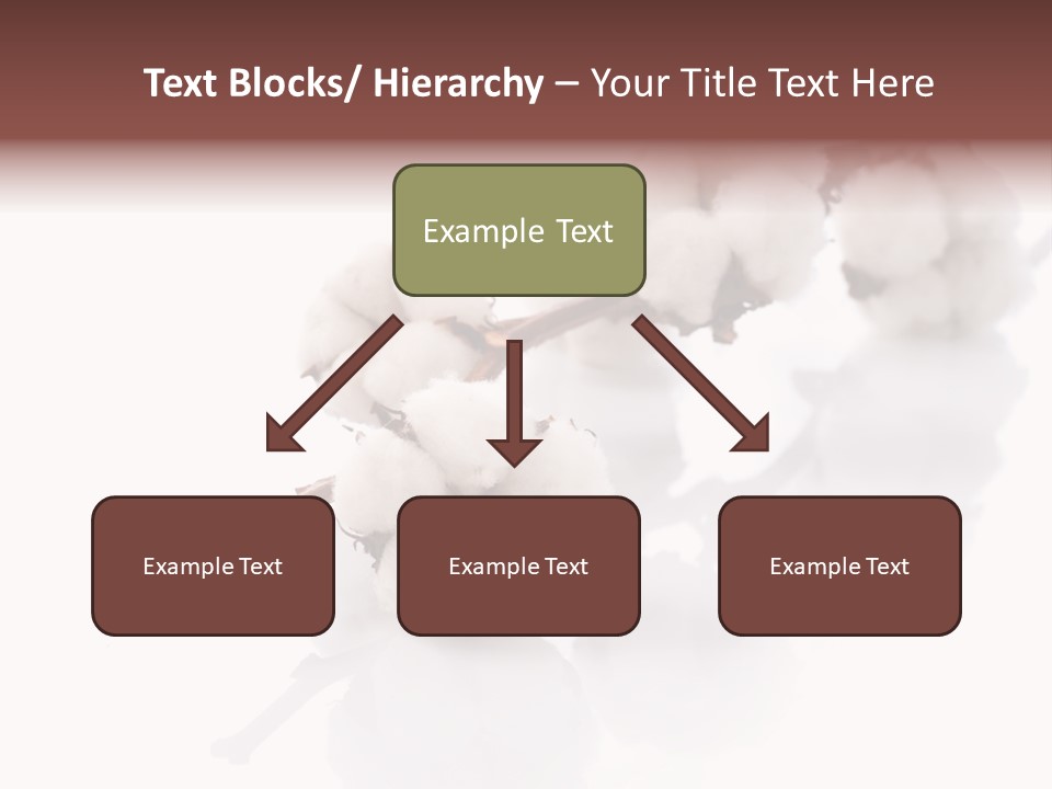 A Cotton Plant With A White Background PowerPoint Template