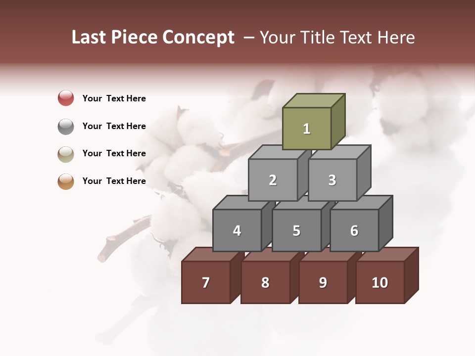 A Cotton Plant With A White Background PowerPoint Template