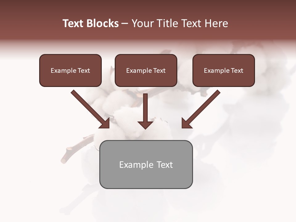 A Cotton Plant With A White Background PowerPoint Template