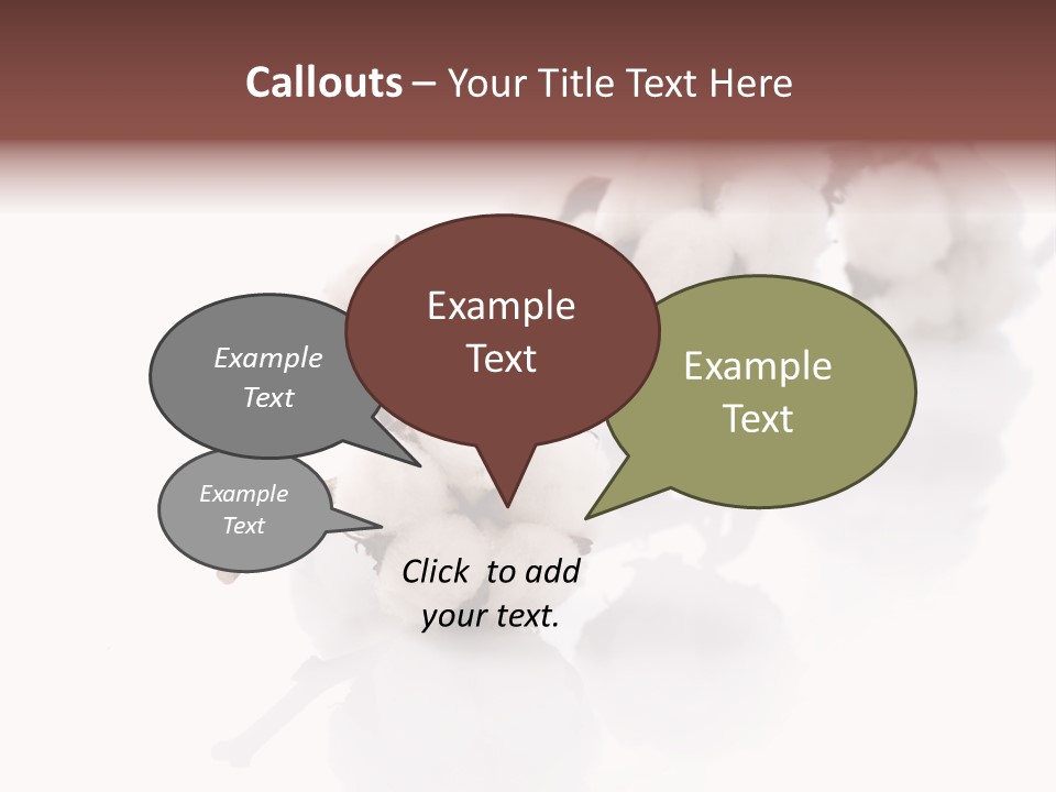 A Cotton Plant With A White Background PowerPoint Template