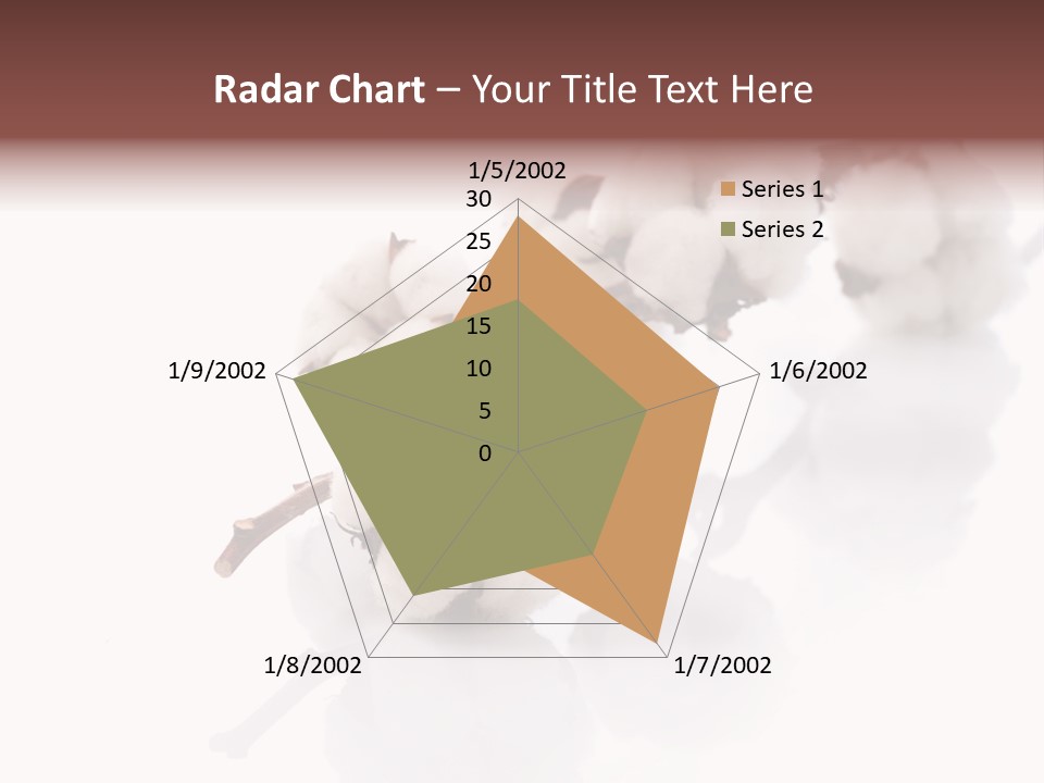 A Cotton Plant With A White Background PowerPoint Template