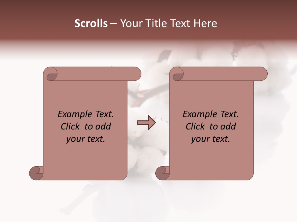 A Cotton Plant With A White Background PowerPoint Template