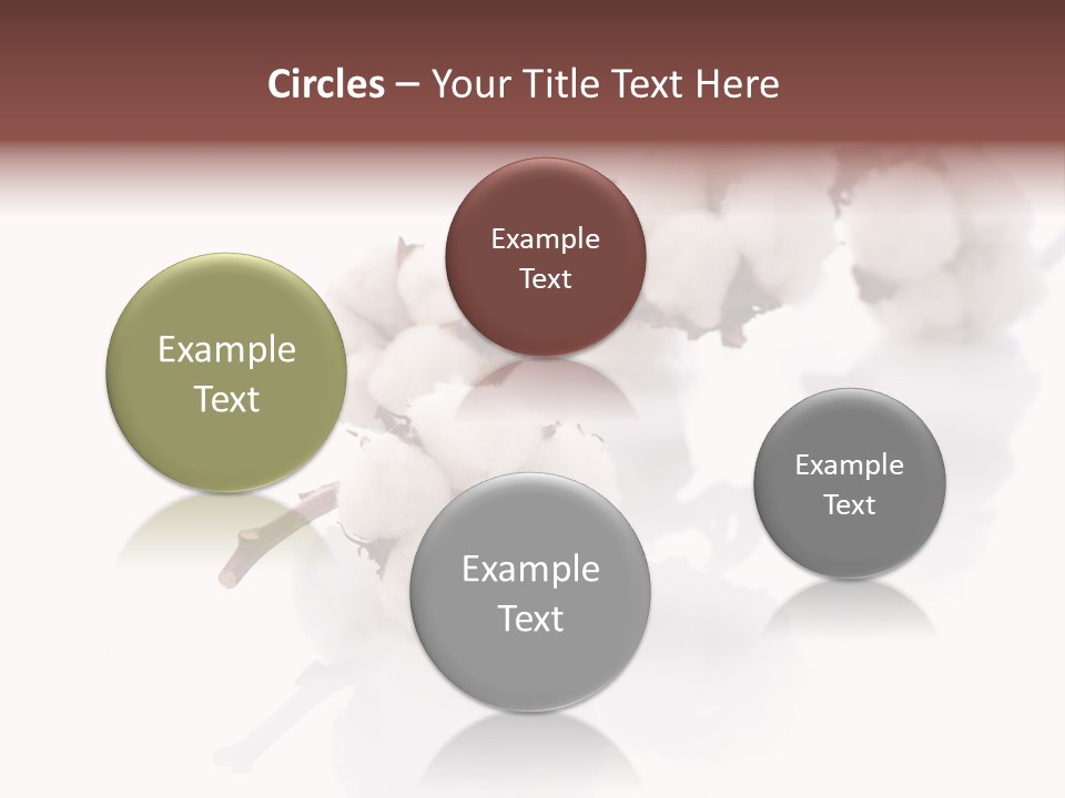 A Cotton Plant With A White Background PowerPoint Template