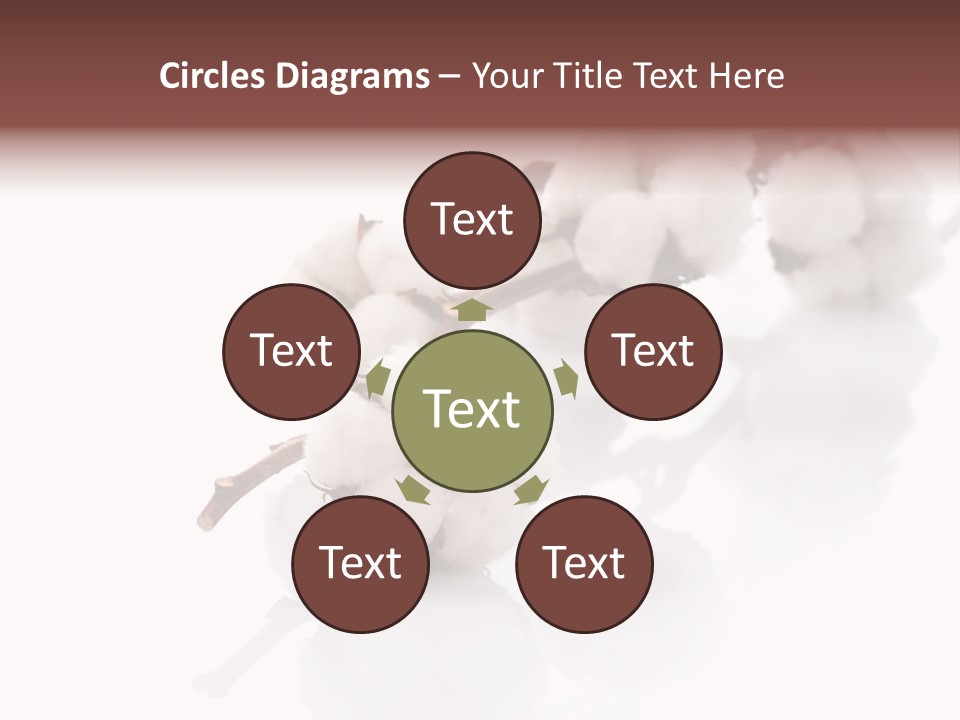 A Cotton Plant With A White Background PowerPoint Template