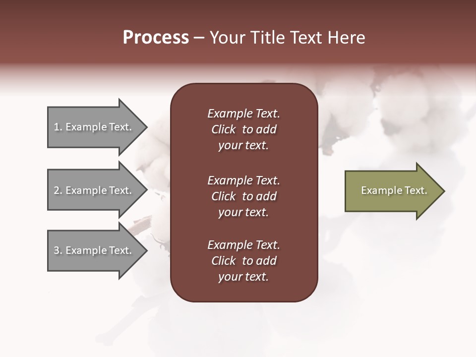 A Cotton Plant With A White Background PowerPoint Template