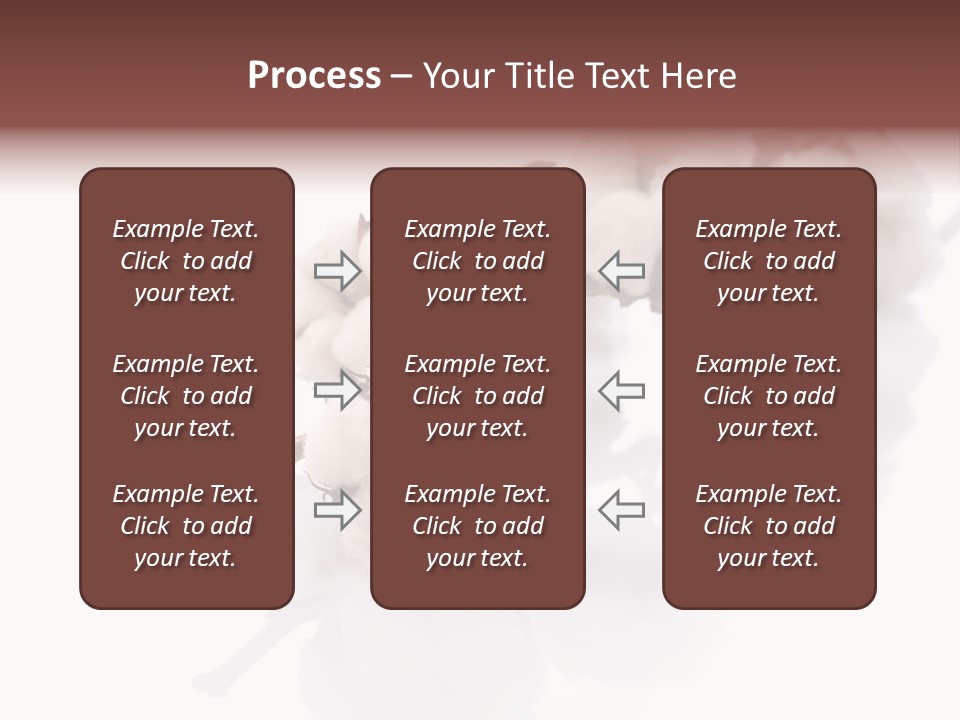 A Cotton Plant With A White Background PowerPoint Template
