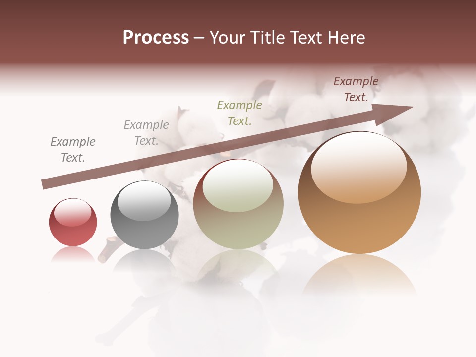 A Cotton Plant With A White Background PowerPoint Template