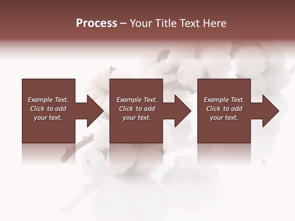 A Cotton Plant With A White Background PowerPoint Template
