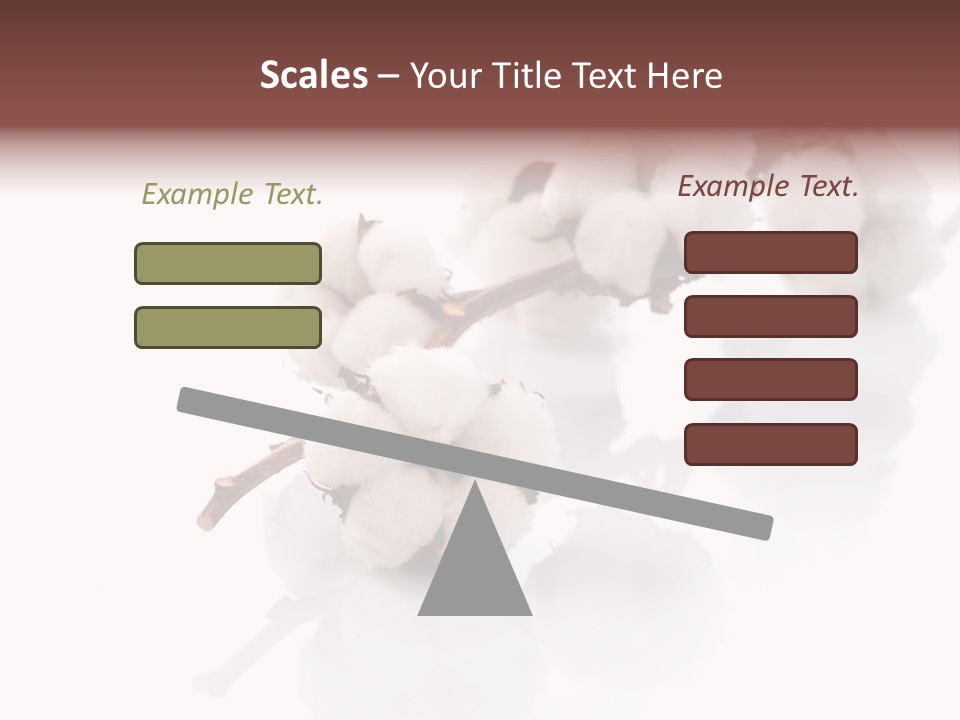 A Cotton Plant With A White Background PowerPoint Template