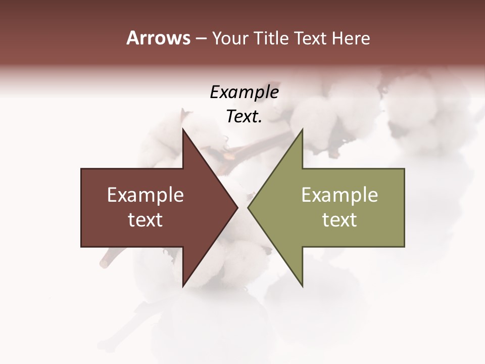 A Cotton Plant With A White Background PowerPoint Template