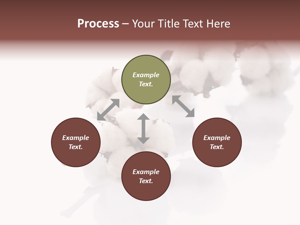 A Cotton Plant With A White Background PowerPoint Template