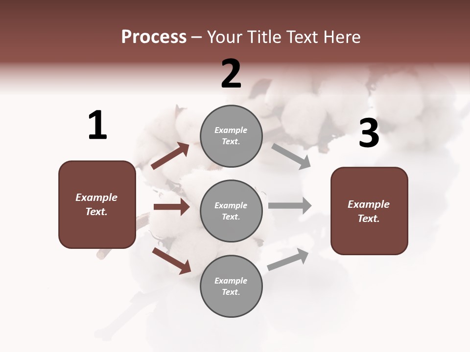 A Cotton Plant With A White Background PowerPoint Template