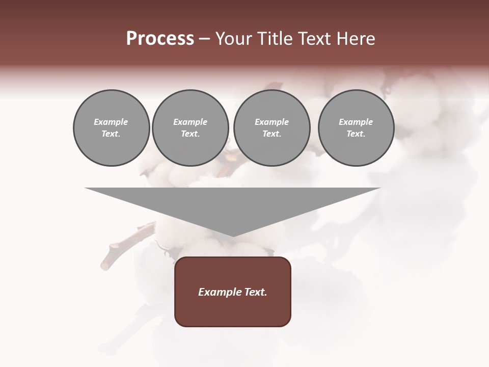 A Cotton Plant With A White Background PowerPoint Template