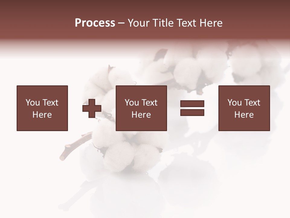 A Cotton Plant With A White Background PowerPoint Template