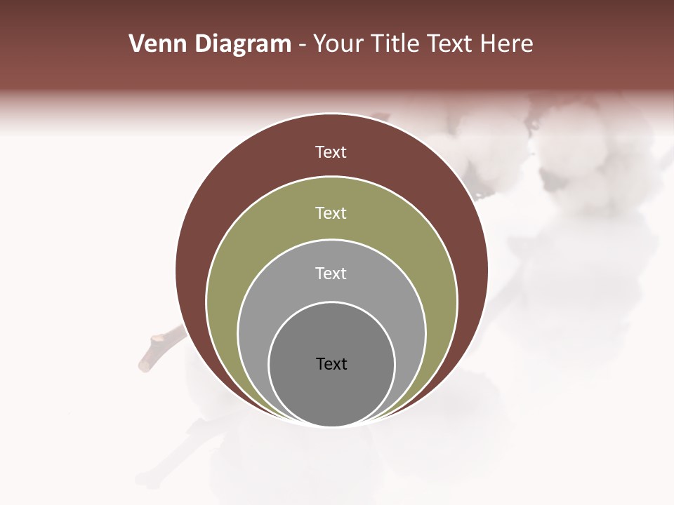 A Cotton Plant With A White Background PowerPoint Template