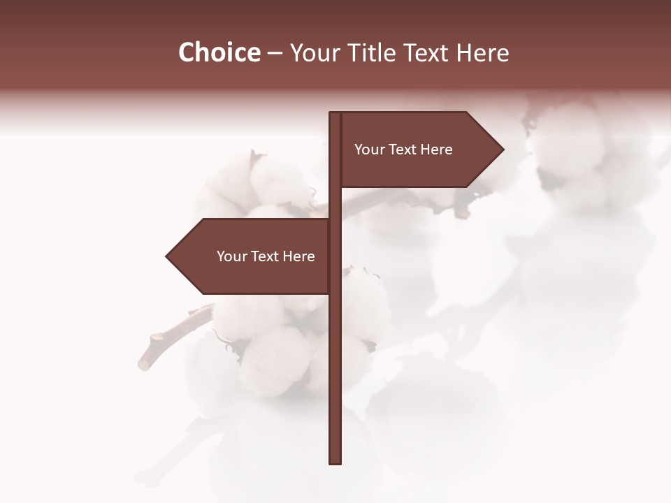 A Cotton Plant With A White Background PowerPoint Template