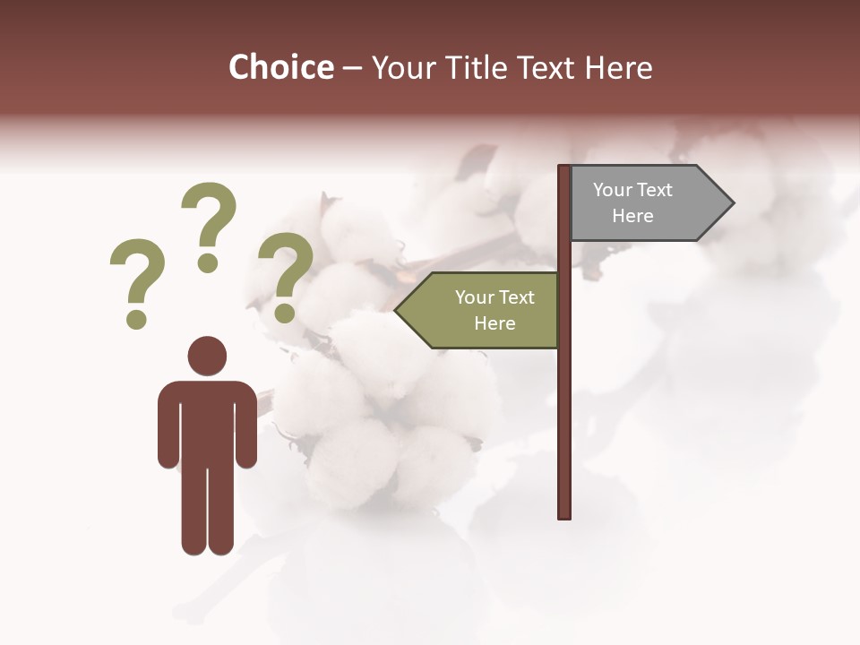 A Cotton Plant With A White Background PowerPoint Template