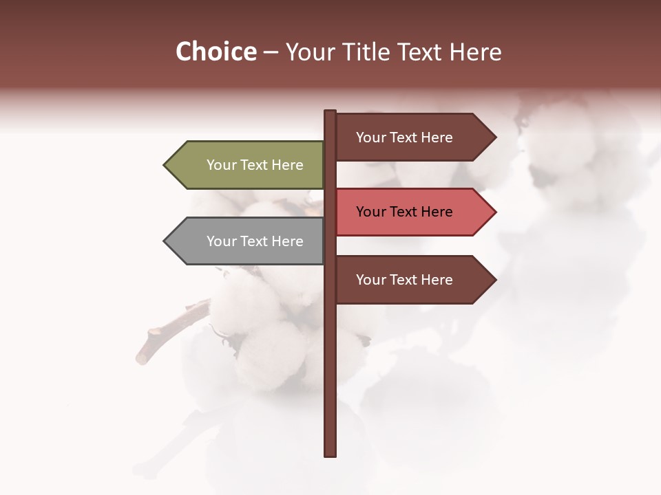 A Cotton Plant With A White Background PowerPoint Template