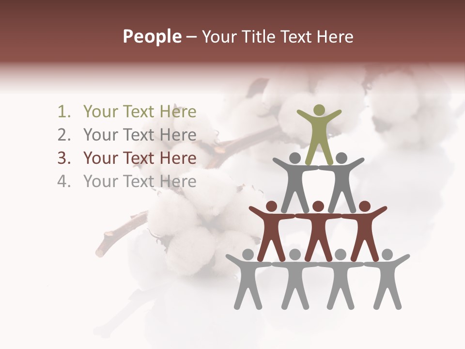 A Cotton Plant With A White Background PowerPoint Template