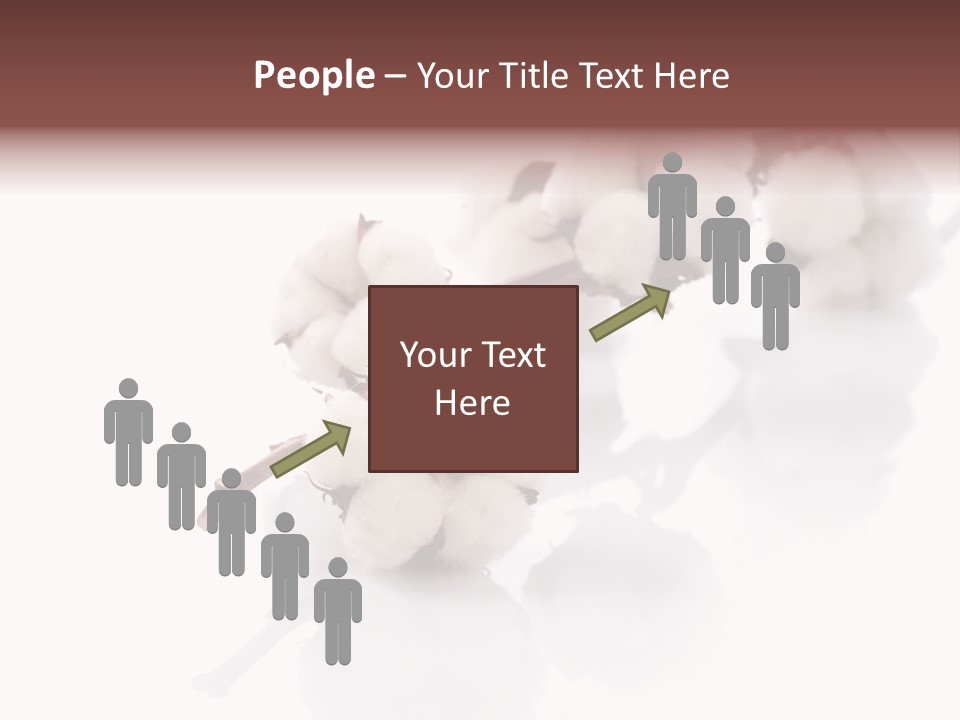 A Cotton Plant With A White Background PowerPoint Template