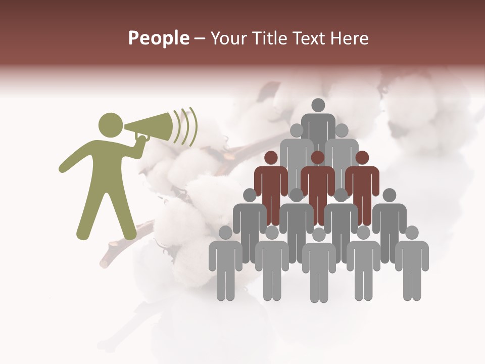 A Cotton Plant With A White Background PowerPoint Template