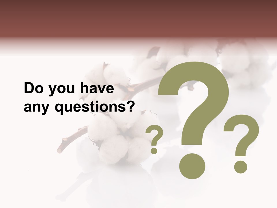 A Cotton Plant With A White Background PowerPoint Template