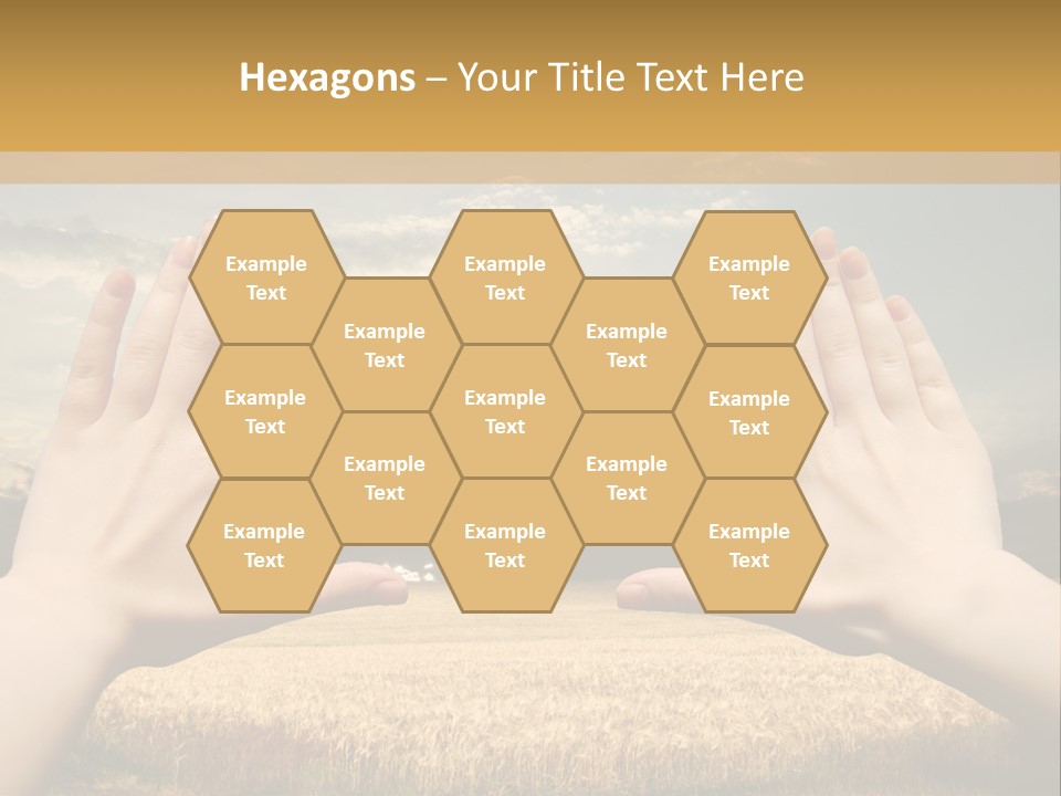 A Person Holding Their Hands Out In Front Of A Field PowerPoint Template