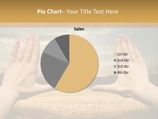 A Person Holding Their Hands Out In Front Of A Field PowerPoint Template