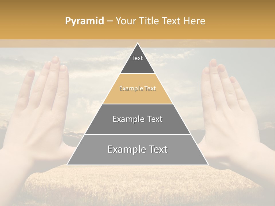 A Person Holding Their Hands Out In Front Of A Field PowerPoint Template