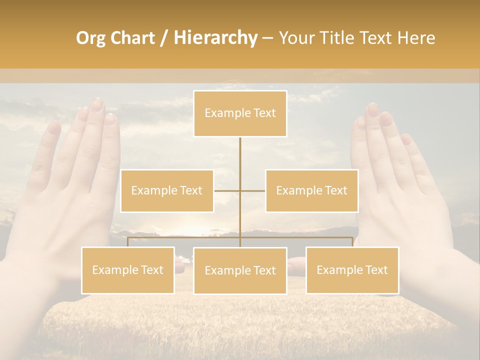 A Person Holding Their Hands Out In Front Of A Field PowerPoint Template