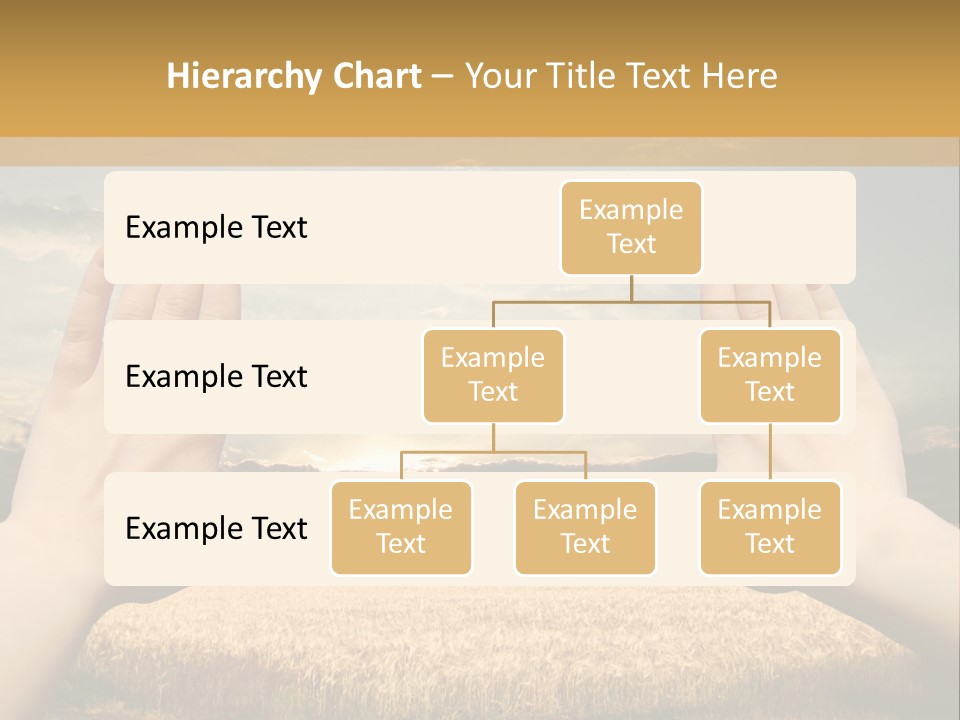 A Person Holding Their Hands Out In Front Of A Field PowerPoint Template