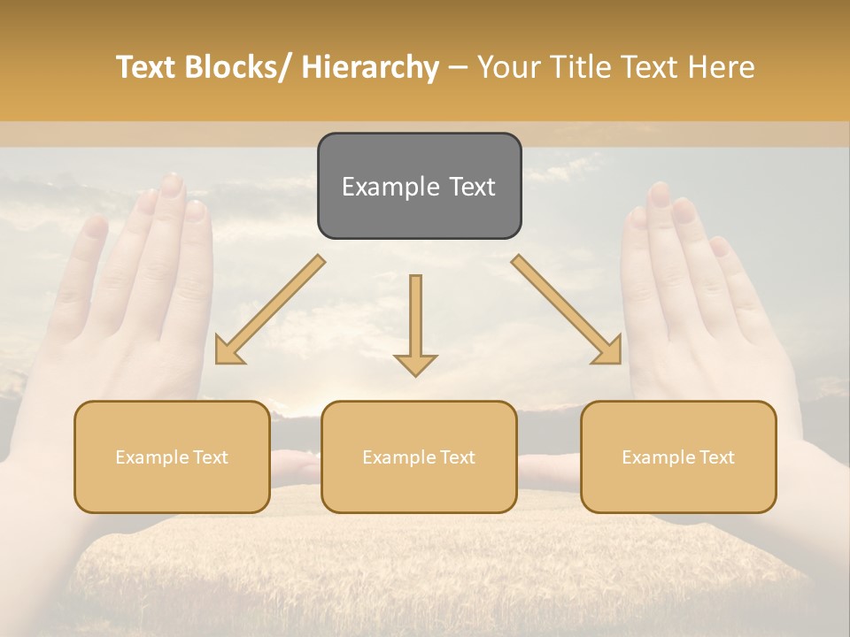 A Person Holding Their Hands Out In Front Of A Field PowerPoint Template