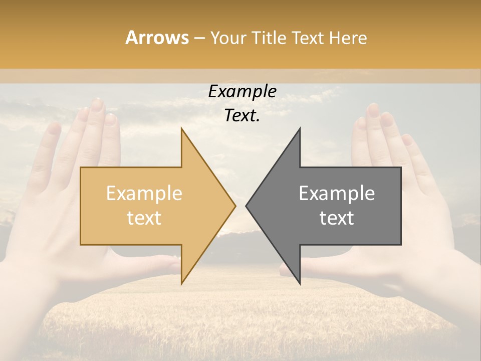 A Person Holding Their Hands Out In Front Of A Field PowerPoint Template