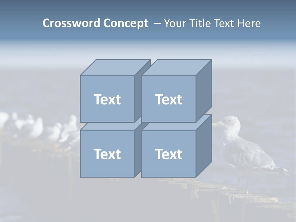 Blackheaded Beach Wooden PowerPoint Template