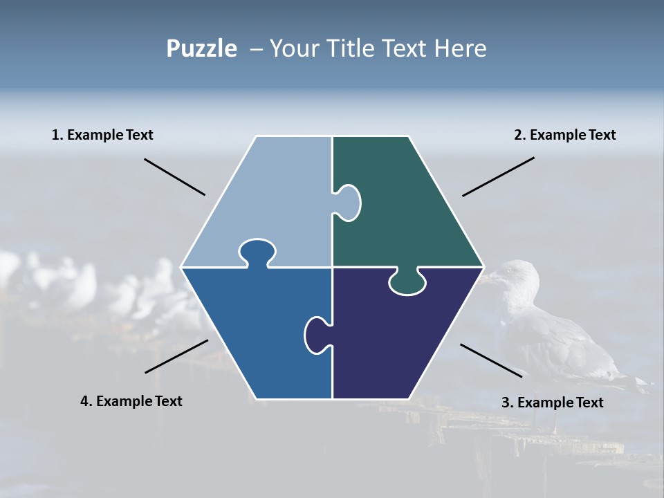 Blackheaded Beach Wooden PowerPoint Template