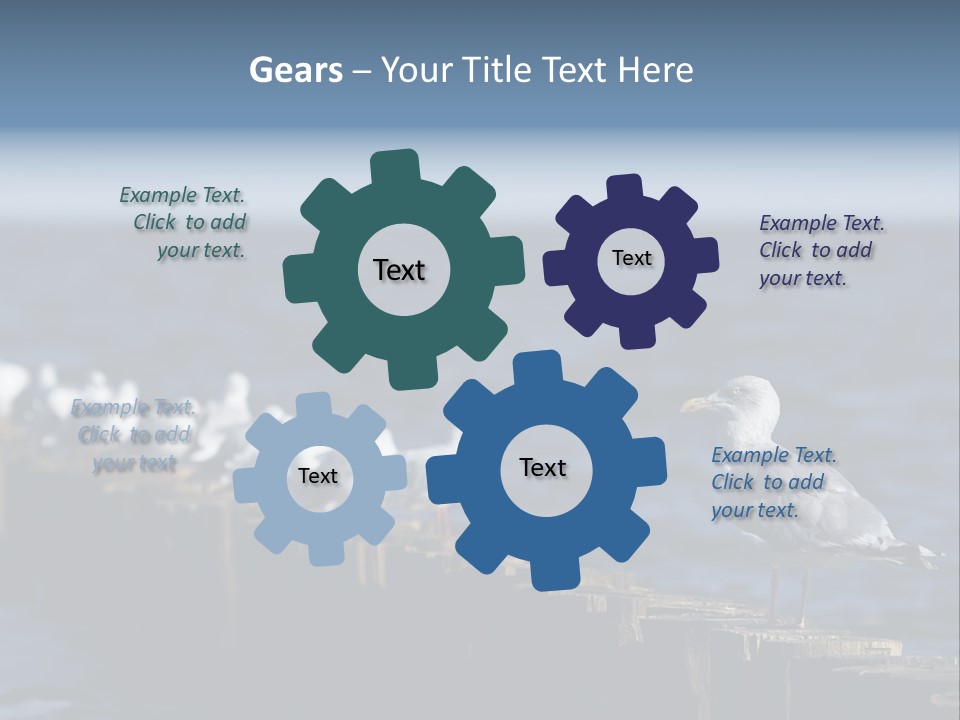 Blackheaded Beach Wooden PowerPoint Template