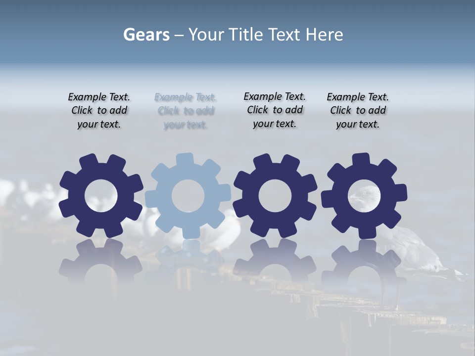 Blackheaded Beach Wooden PowerPoint Template