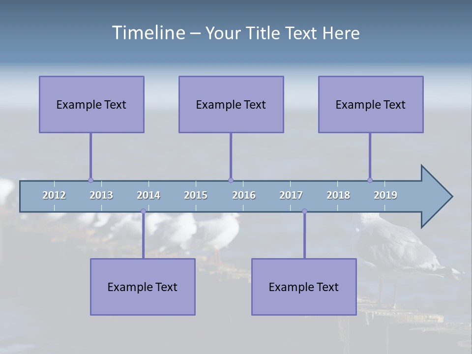 Blackheaded Beach Wooden PowerPoint Template