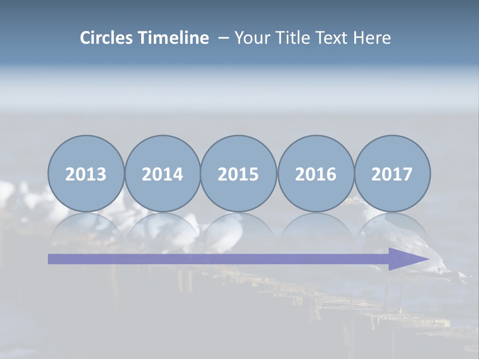 Blackheaded Beach Wooden PowerPoint Template