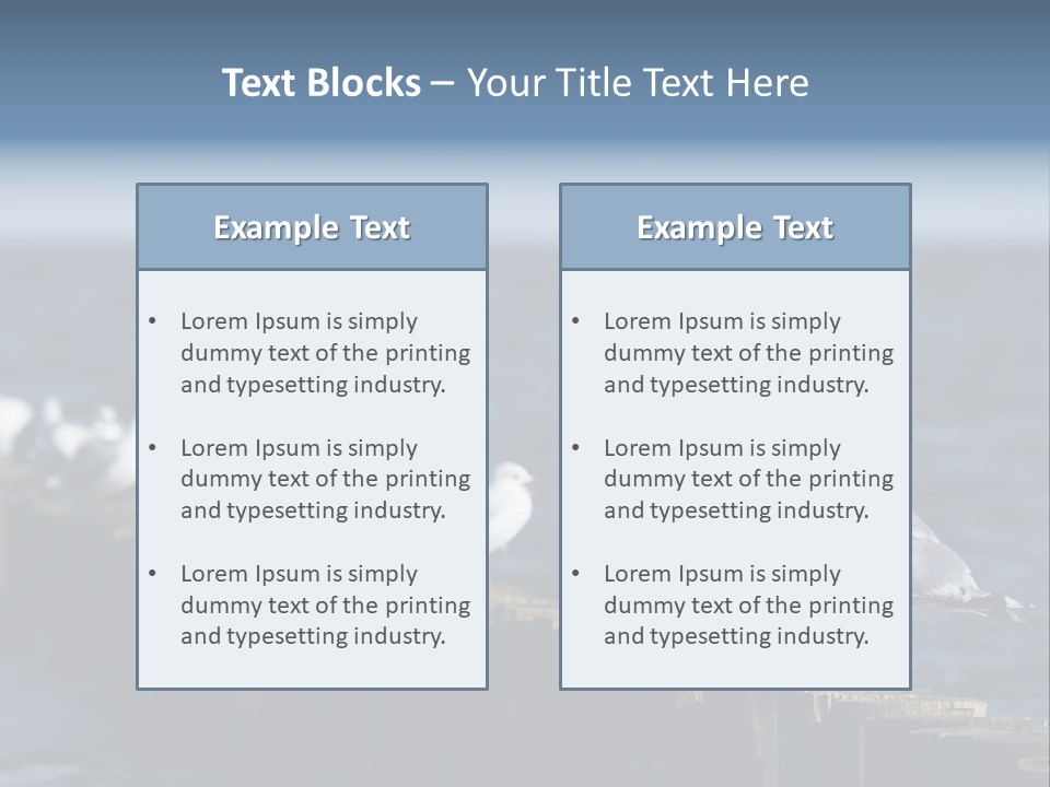 Blackheaded Beach Wooden PowerPoint Template