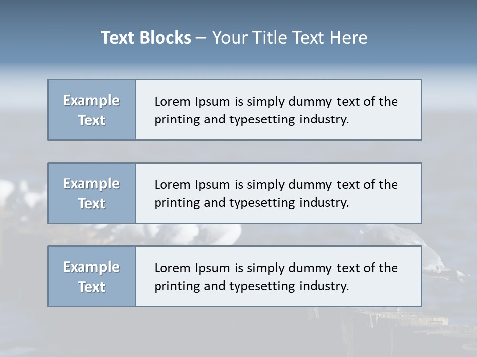 Blackheaded Beach Wooden PowerPoint Template