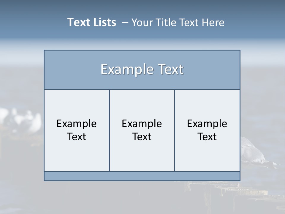 Blackheaded Beach Wooden PowerPoint Template