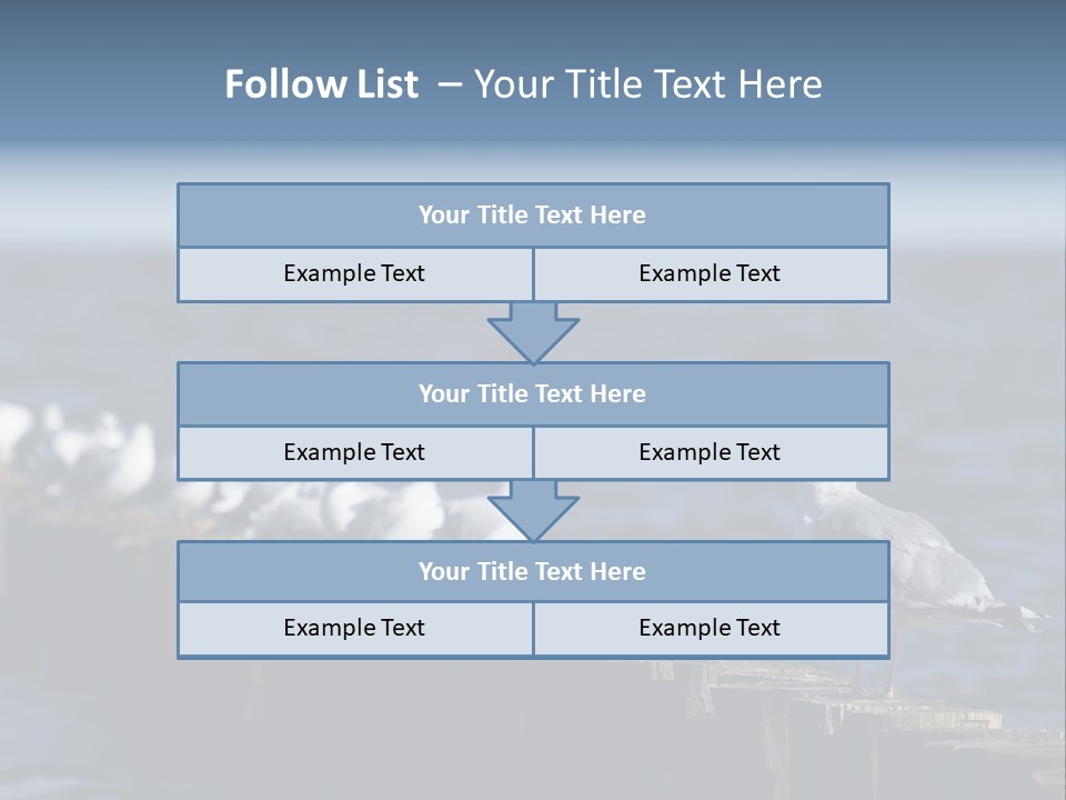 Blackheaded Beach Wooden PowerPoint Template