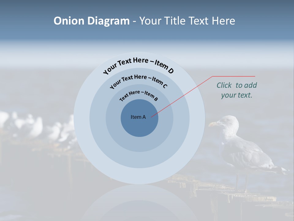 Blackheaded Beach Wooden PowerPoint Template