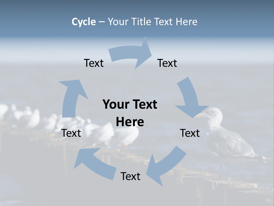 Blackheaded Beach Wooden PowerPoint Template