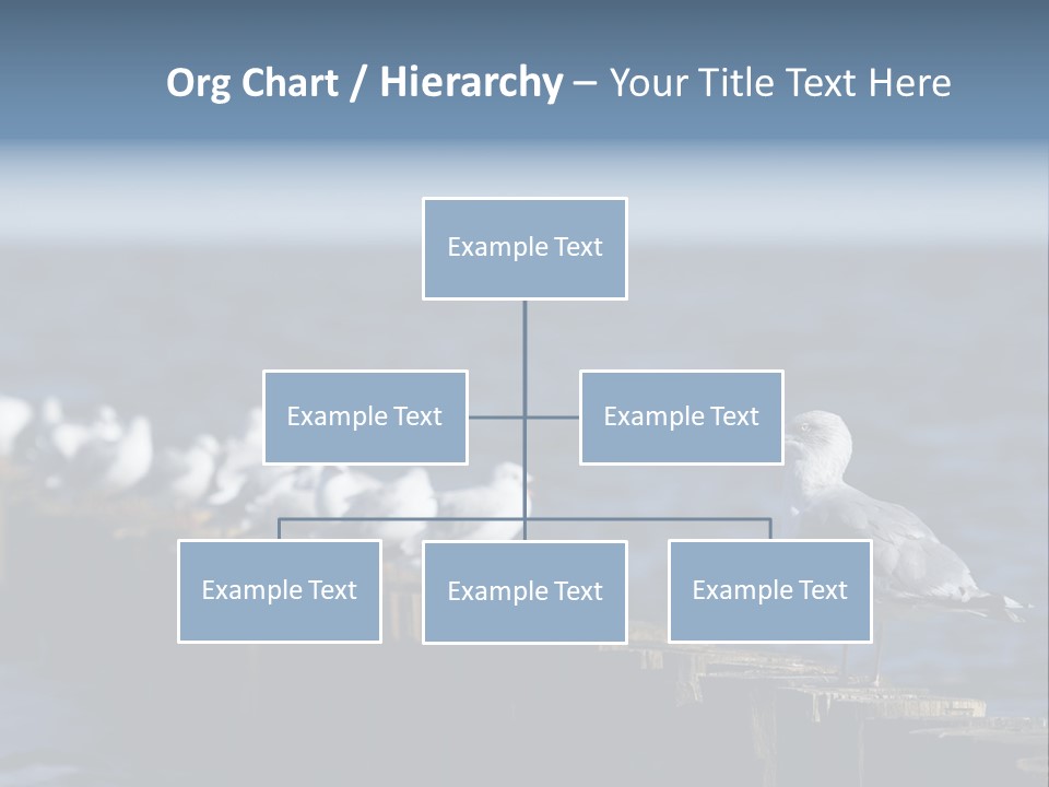 Blackheaded Beach Wooden PowerPoint Template