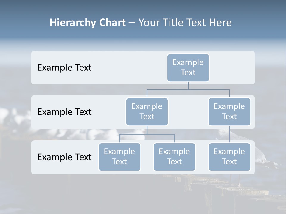 Blackheaded Beach Wooden PowerPoint Template