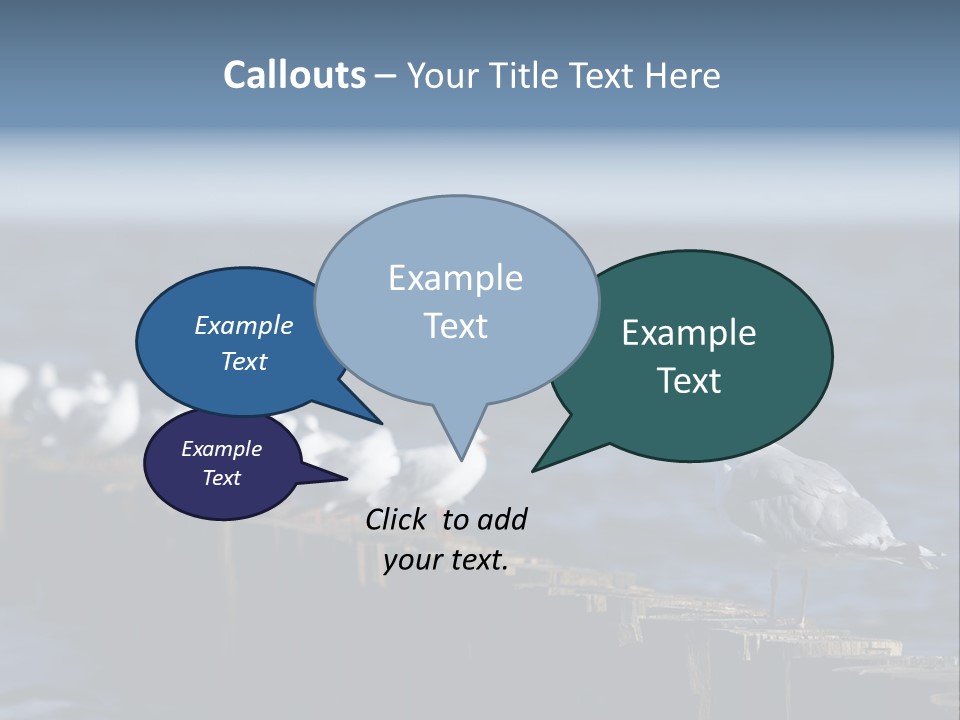 Blackheaded Beach Wooden PowerPoint Template